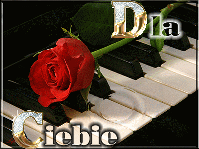 Dla Ciebie róża w odbiciu wodnym